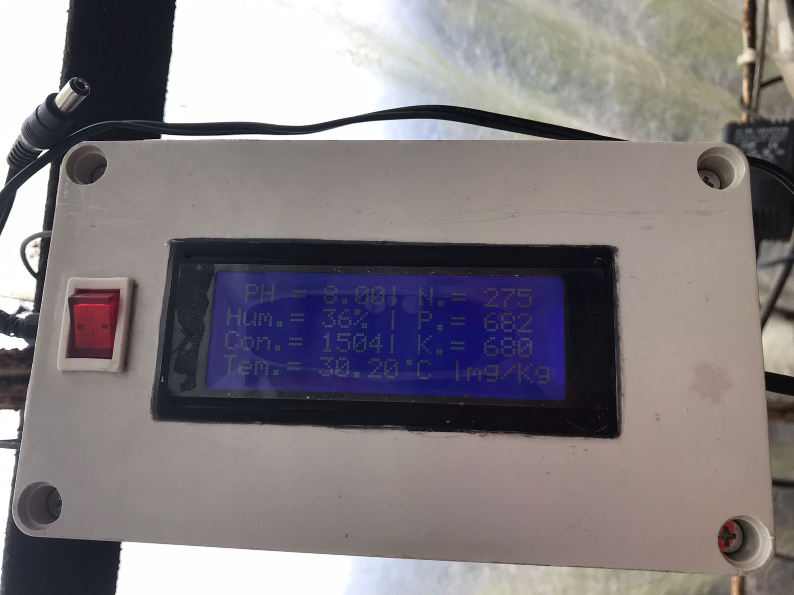 368736641_10228516040000111_3869003464720591832_n